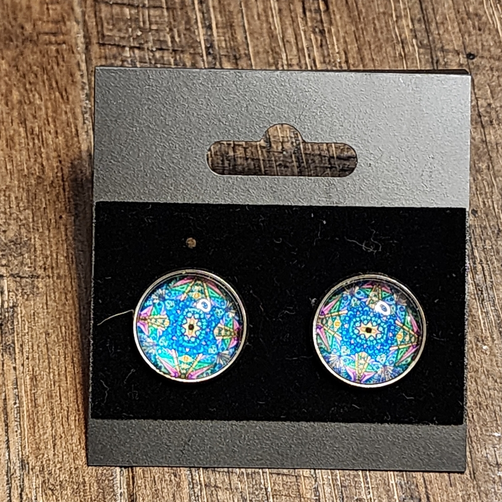 NWT Earrings